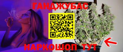 прущие крисы Новозыбков