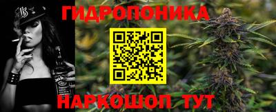 прущие крисы Новозыбков